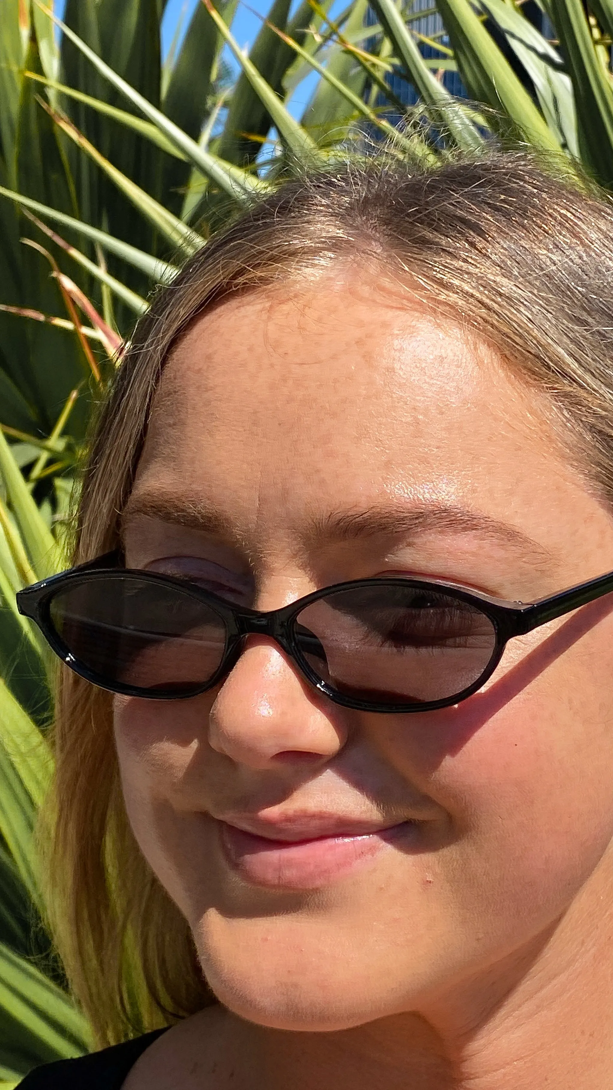 Amery Sunglasses - Black