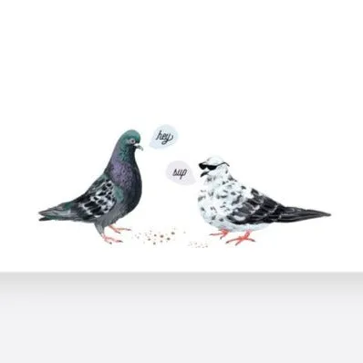 Chatting Pigeons Flat Notecard Set