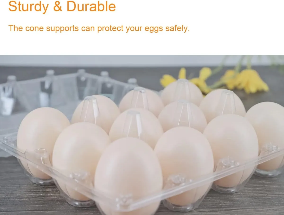 Egg Cartons 60 Packs, Clear Plastic Blank Egg Cartons with Free Labels, Holds up to 12 Eggs Securely, Perfect for Family Pasture Farm Markets Display - Medium