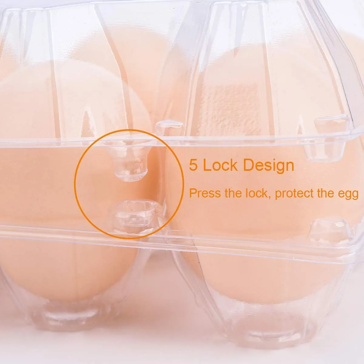 Egg Cartons 60 Packs, Clear Plastic Blank Egg Cartons with Free Labels, Holds up to 12 Eggs Securely, Perfect for Family Pasture Farm Markets Display - Medium